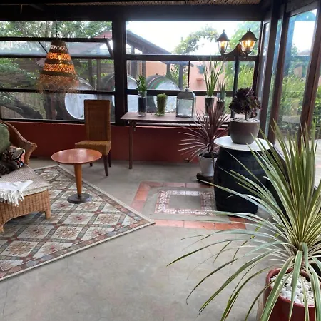 Cebollino 拉奥罗塔瓦